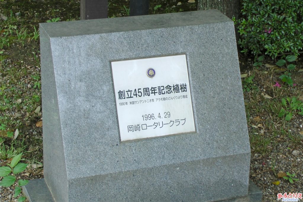岡崎公園：アラモの碑のどんぐりの木