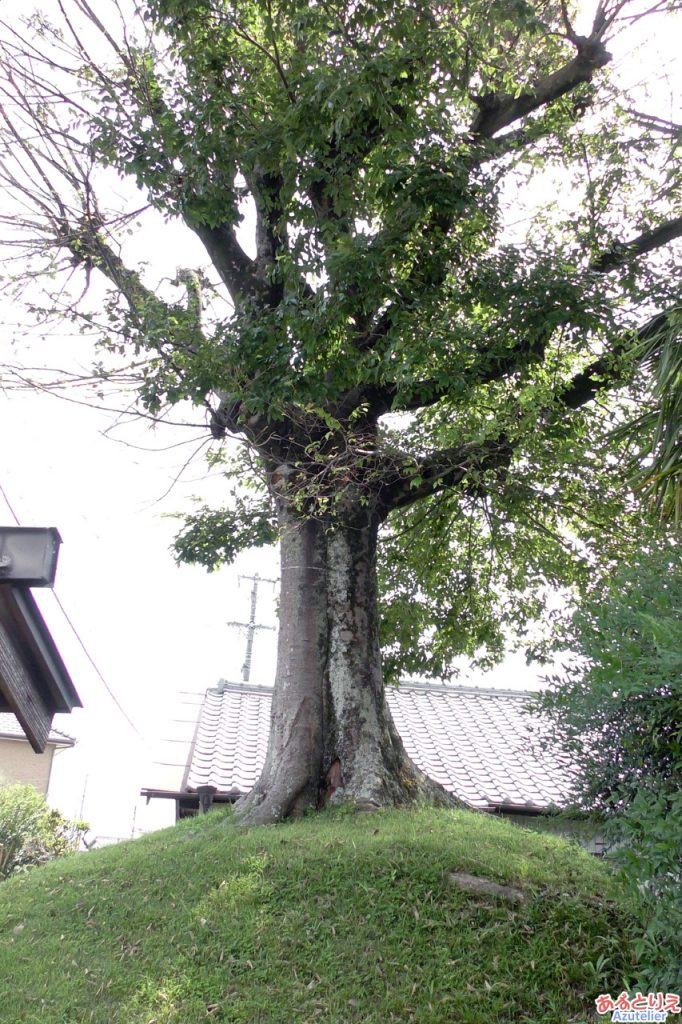 大平一里塚