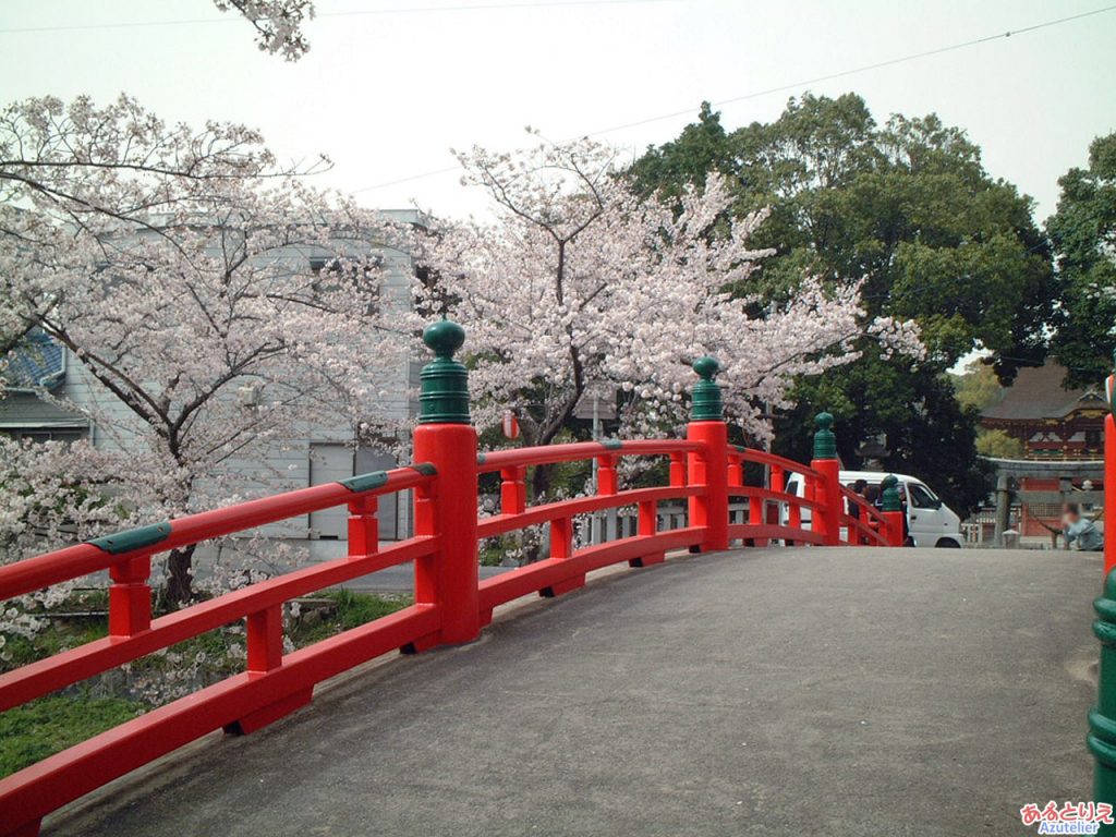 伊賀八幡宮：桜の時期の神橋