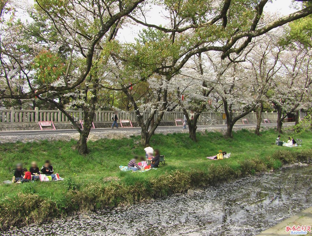 純情きらりのロケ地