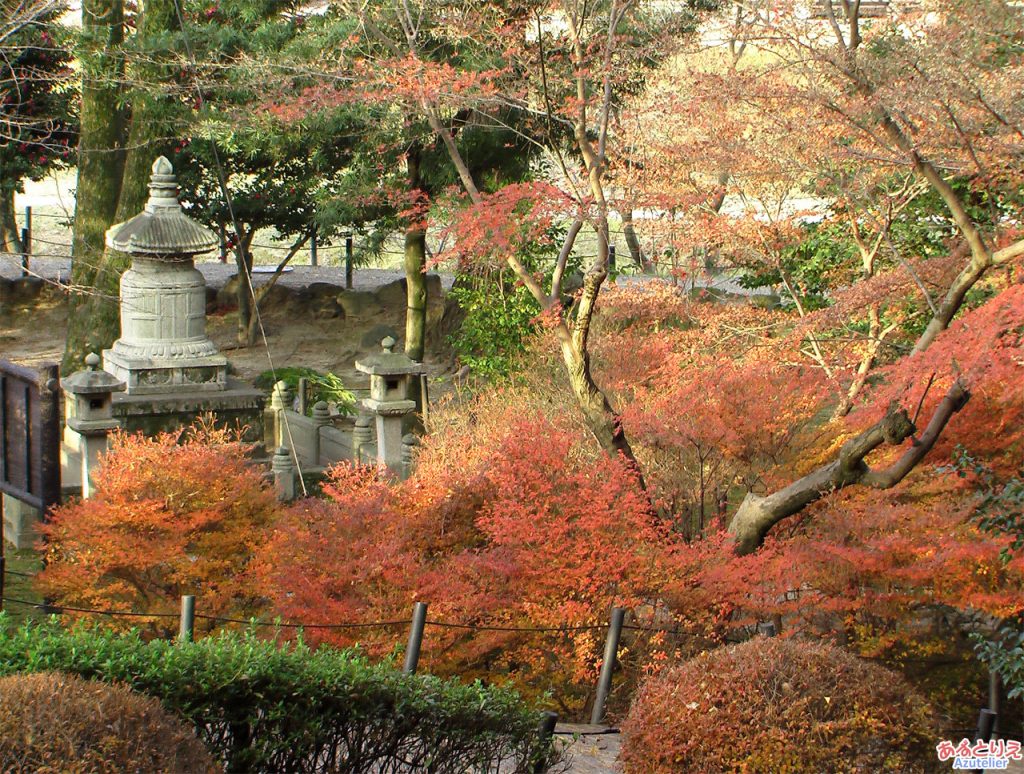 紅葉の時期