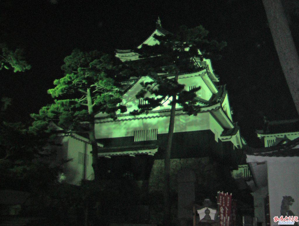 夜の岡崎城(正面)