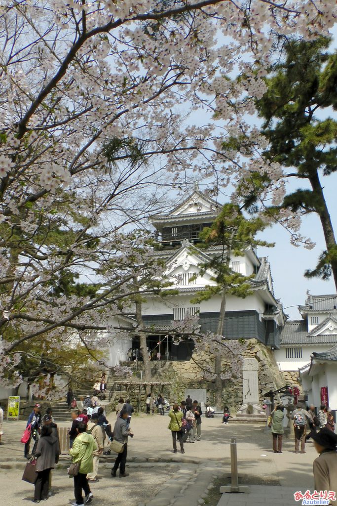桜の時期の岡崎城(正面)