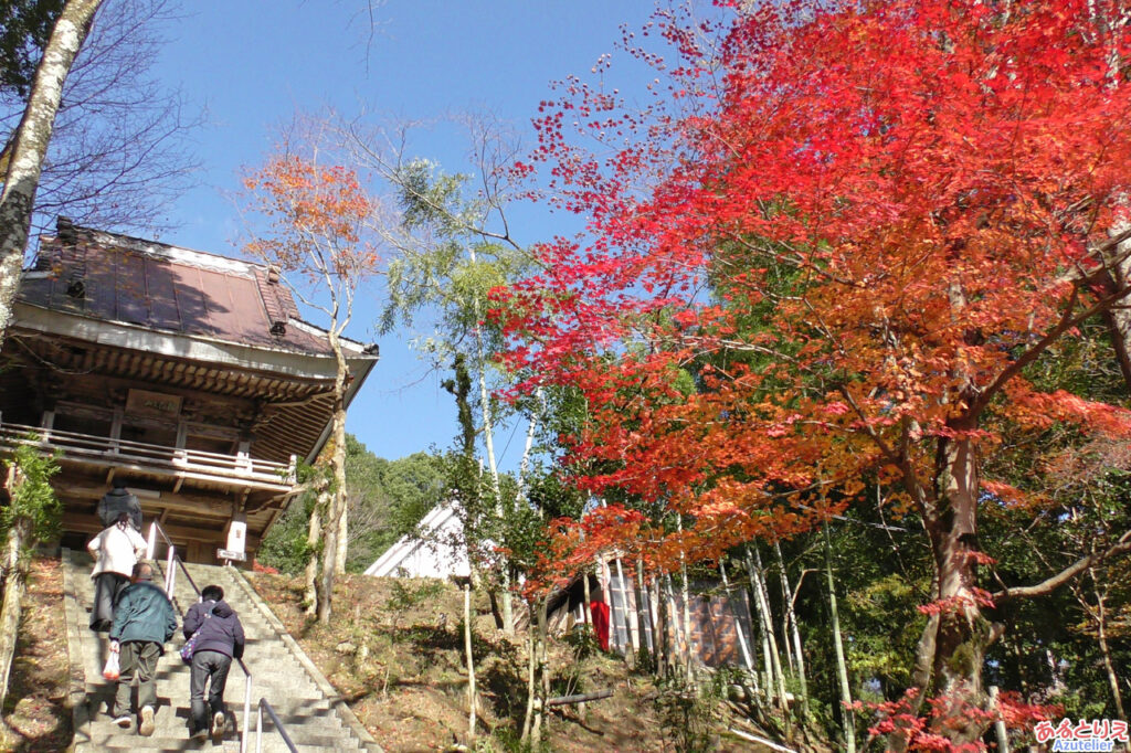 階段右側の紅葉が真っ赤で綺麗です。