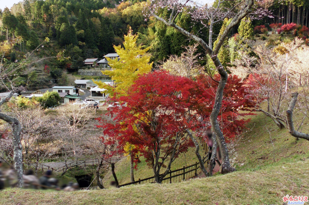 ふれあい公園