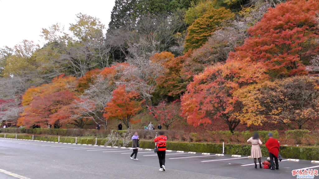 駐車場前