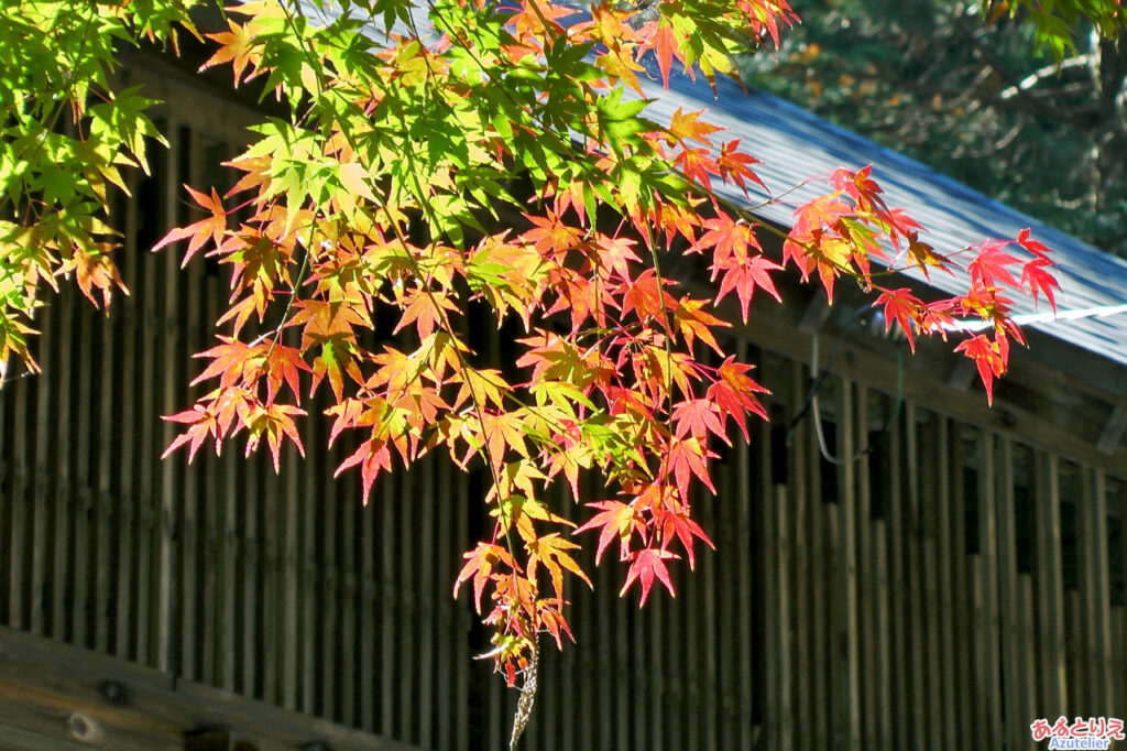 農村舞台