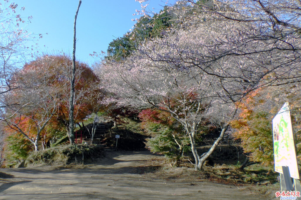 中腹の広場