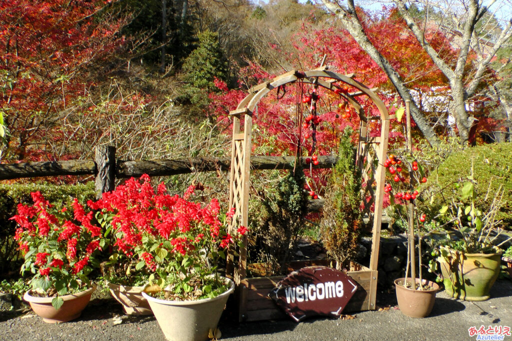 和紙工芸館 