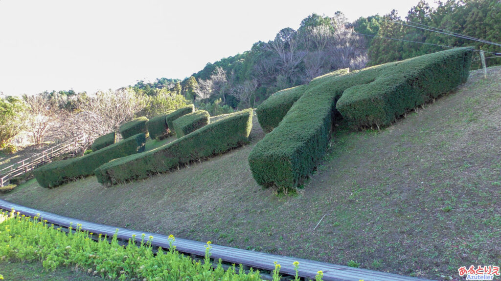 ジンヤの植木