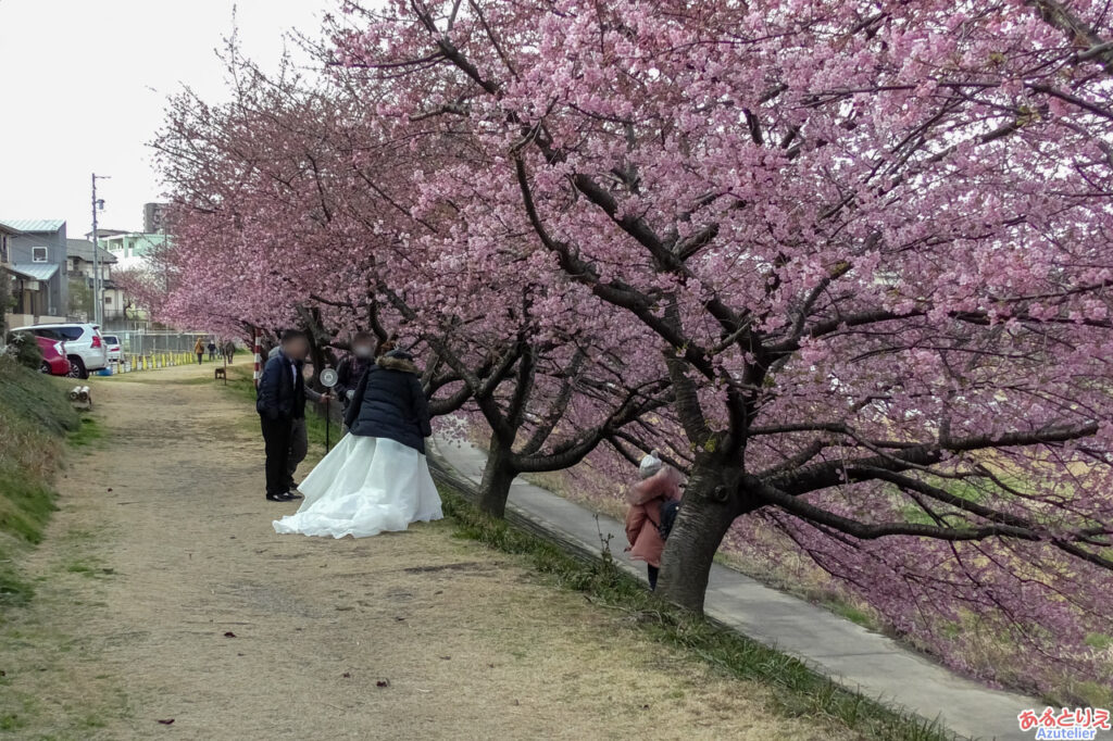 結婚式の前撮りでしょうか？