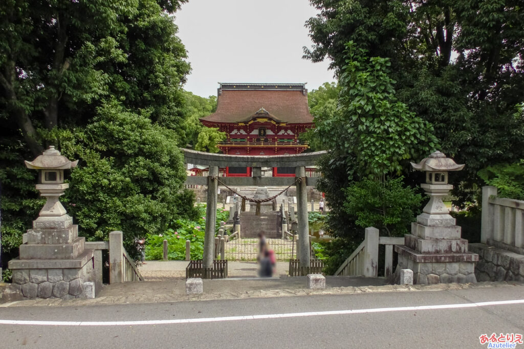 伊賀八幡宮のハス