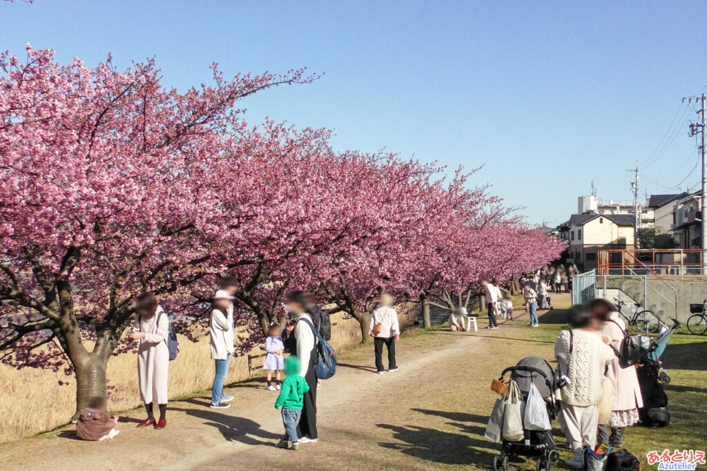 散策路