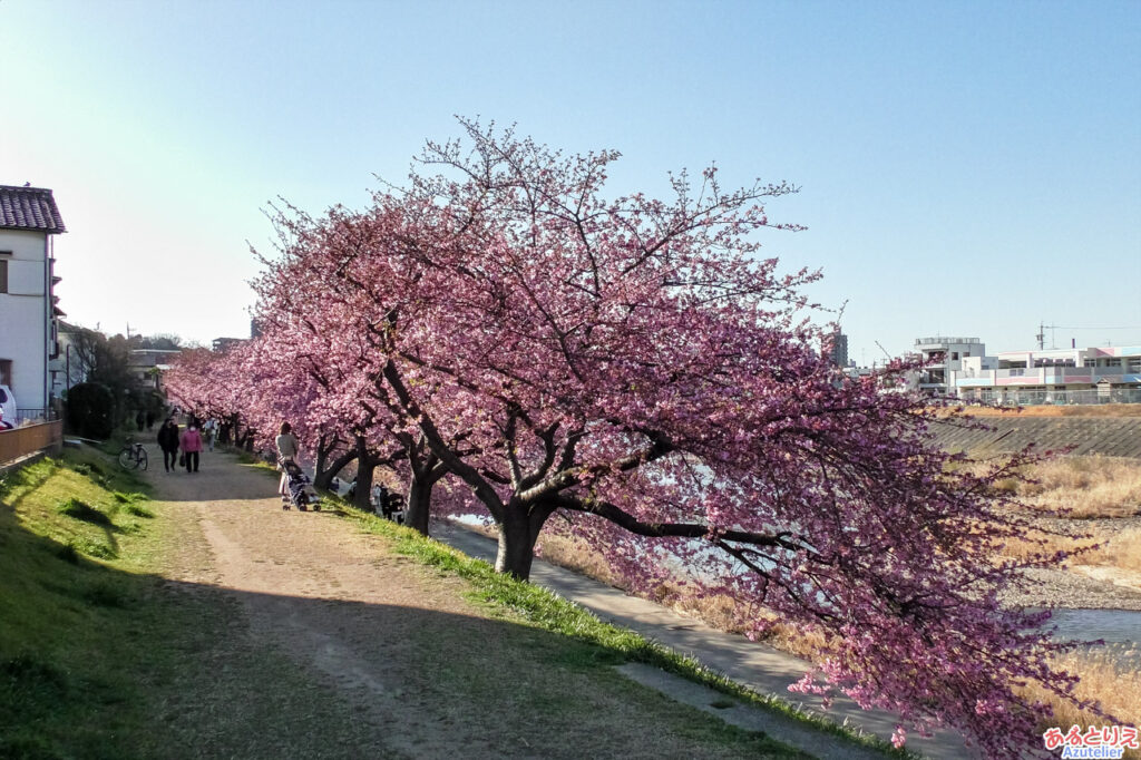 東端(竹橋)