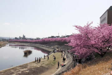 竜美が丘会館裏手より望む